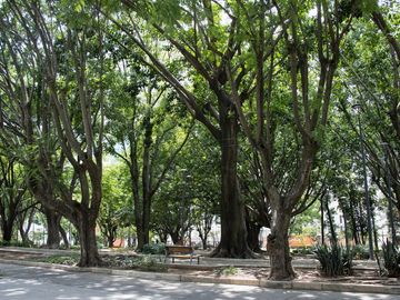 Departamento en venta Country Club