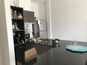 Departamento - Loft Intercontinental