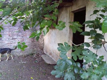 Casa - Claypole