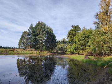 Parcela en Venta en PARCELA A MINUTOS DE FRUTILLAR, QUE INVITAN A VIVIR EN ARMONIA CON EL CAMPO