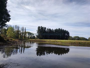 Parcela en Venta en PARCELA A MINUTOS DE FRUTILLAR, QUE INVITAN A VIVIR EN ARMONIA CON EL CAMPO