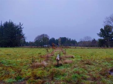 Parcela en Venta en PARCELA A MINUTOS DE FRUTILLAR, QUE INVITAN A VIVIR EN ARMONIA CON EL CAMPO