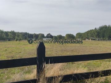 Parcela en Venta en PARCELA A MINUTOS DE FRUTILLAR, QUE INVITAN A VIVIR EN ARMONIA CON EL CAMPO
