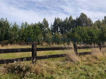 Parcela en Venta en PARCELA A MINUTOS DE FRUTILLAR, QUE INVITAN A VIVIR EN ARMONIA CON EL CAMPO