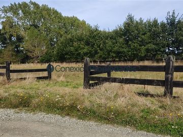 Parcela en Venta en PARCELA A MINUTOS DE FRUTILLAR, QUE INVITAN A VIVIR EN ARMONIA CON EL CAMPO