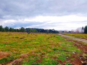 Parcela en Venta en PARCELA A MINUTOS DE FRUTILLAR, QUE INVITAN A VIVIR EN ARMONIA CON EL CAMPO