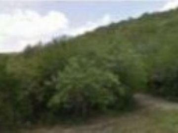 LLERA DE CANALES TERRENO VENTA TAMAULIPAS