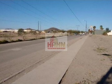 SONORA CABORCA PALMA DORADA TERRENO VENTA