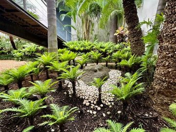 Casa en Fraccionamiento en Leñeros Vista Hermosa Cuernavaca - GSI-1429-Fr