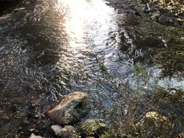 Sitio en Venta en Condominio Entre Ríos, Río Pescado, Puerto Varas