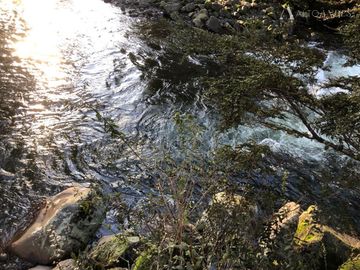 Sitio en Venta en Condominio Entre Ríos, Río Pescado, Puerto Varas