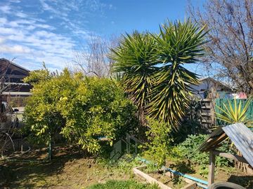 Casa en Venta en Curepto Los Huertos