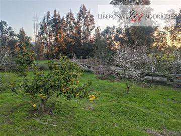 Casa en Venta en Parcela con casa en sector Pucalán, Puchuncaví