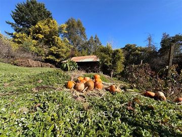 Terreno Construccion  en Venta en Camino Villarrica Pucon