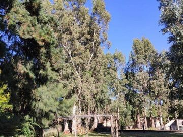 CASA QUINTA SOBRE LOTE DE 7600M2 EN CAMINO VIEJO A MIRAMAR