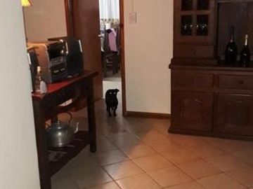 CASA QUINTA SOBRE LOTE DE 7600M2 EN CAMINO VIEJO A MIRAMAR