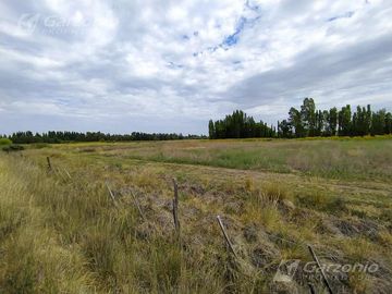 Chacra - Trelew