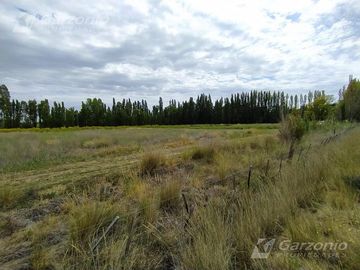 Chacra - Trelew