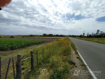 Chacra - Trelew