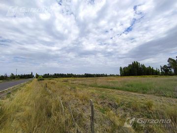 Chacra - Trelew