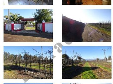 Agrícola en Venta en sector El Cisne parcela 22 lote C y D
