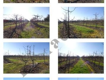 Agrícola en Venta en sector El Cisne parcela 22 lote C y D