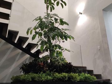 Preventa en Cuernavaca - Casas en Condominio