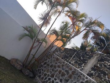 Preventa en Cuernavaca - Casas en Condominio