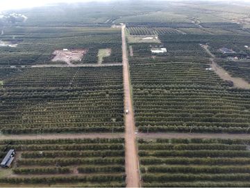 Se vende linda Parcela Fundo Los Olivos Pencahue