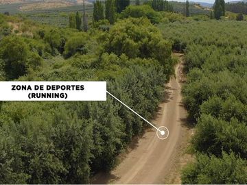 Se vende linda Parcela Fundo Los Olivos Pencahue