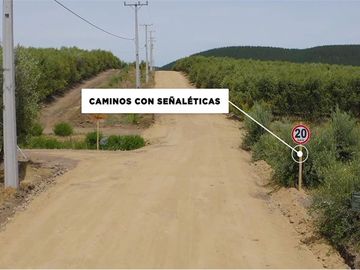 Se vende linda Parcela Fundo Los Olivos Pencahue