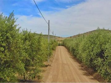 Se vende linda Parcela Fundo Los Olivos Pencahue