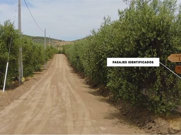 Se vende linda Parcela Fundo Los Olivos Pencahue