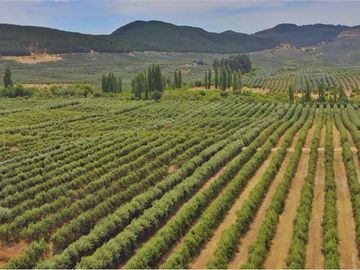 Se vende linda Parcela Fundo Los Olivos Pencahue
