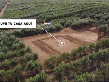 Se vende linda Parcela Fundo Los Olivos Pencahue