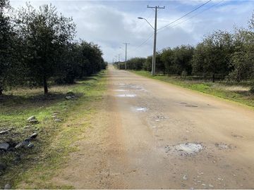 Se vende linda Parcela Fundo Los Olivos Pencahue