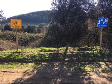 Se vende linda Parcela Fundo Los Olivos Pencahue