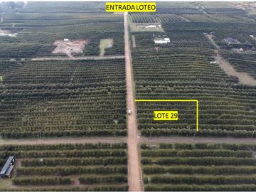 Se vende linda Parcela Fundo Los Olivos Pencahue