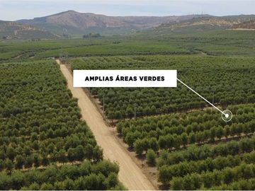Se vende linda Parcela Fundo Los Olivos Pencahue