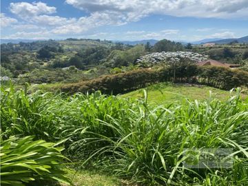 VENTA FINCA LOTE 5.007 M² CONSTRUCCION 500 M² EL RETIRO VDA LA GUIJA