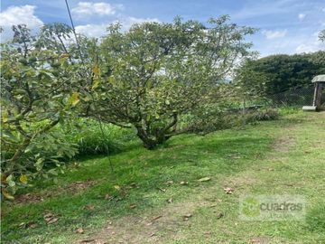 VENTA FINCA LOTE 5.007 M² CONSTRUCCION 500 M² EL RETIRO VDA LA GUIJA
