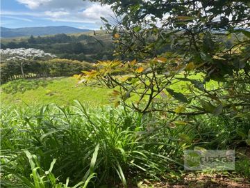 VENTA FINCA LOTE 5.007 M² CONSTRUCCION 500 M² EL RETIRO VDA LA GUIJA