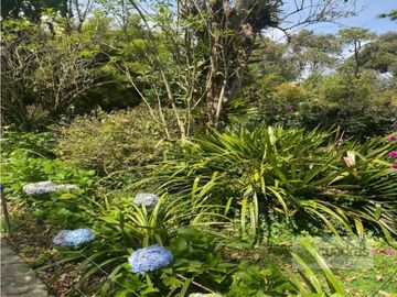 VENTA FINCA LOTE 5.007 M² CONSTRUCCION 500 M² EL RETIRO VDA LA GUIJA