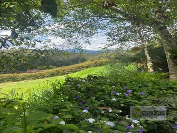 VENTA FINCA LOTE 5.007 M² CONSTRUCCION 500 M² EL RETIRO VDA LA GUIJA