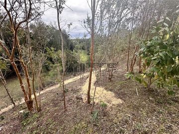 Parcela en Venta en Condominio del Parque, Dos Esteros. Puerto Montt