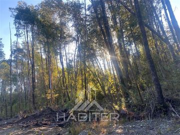 Parcela en Venta en Olmopulli