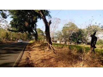 VENDO TERRENO EN LA CHORRERA CAMINO A LA MITRA 3 HECTREAS