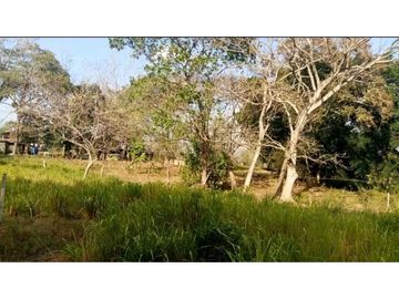 VENDO TERRENO EN LA CHORRERA CAMINO A LA MITRA 3 HECTREAS