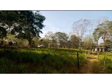 VENDO TERRENO EN LA CHORRERA CAMINO A LA MITRA 3 HECTREAS