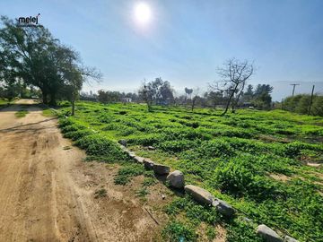 Venta Casa en Parcela de 8.000 m2 en Olmué
